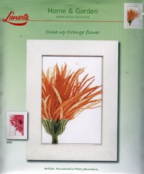 Close-up orange flower