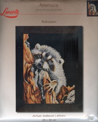 Racoon